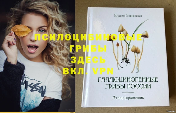 MDMA Алексеевка