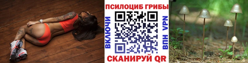 гидра ссылки  маркетплейс Telegram  Пущино  Галлюциногенные грибы Magic Shrooms  купить наркотики цена 